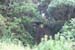 DSCF0024